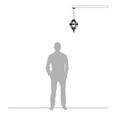 Victorian globe galvanised steel hanging light 0.35m in height with chain.