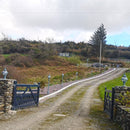 Victorian globe lamp post in cast iron 1.4m in height.