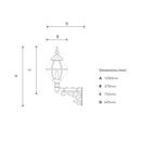 Victorian globe wall light in cast iron with decorative arm 1.05m (H241)