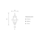 Victorian globe lantern - 77mm inside diameter (LN201)