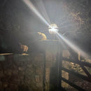 Victorian globe pier light in cast iron 0.79m in height for flat pier caps.